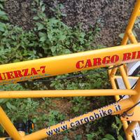 bici da trasporto