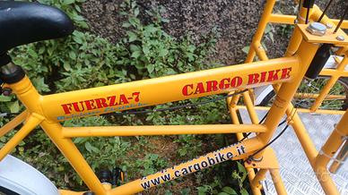 bici da trasporto