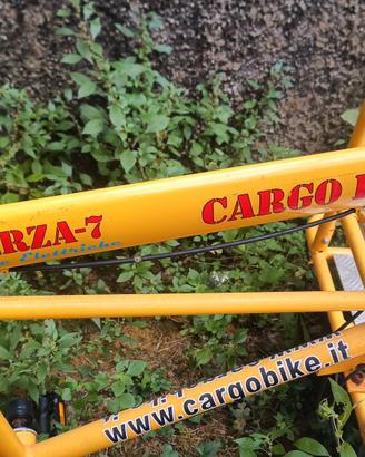 bici da trasporto