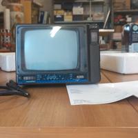 televisione portatile 