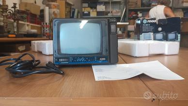 televisione portatile 
