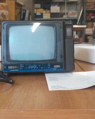 televisione portatile 