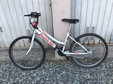 Bicicletta mountain bike
