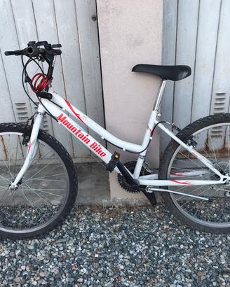 Bicicletta mountain bike