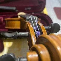 Violino 4/4 Il Sigillo, completo