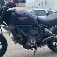 Ducati scrambler flat track