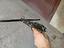 Immagine 5
