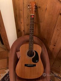 Bella chitarra con custodia