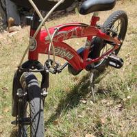 Bicicletta BMX 16” DINO BIKES per Bambini