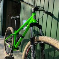 Bici | Mountain Bike Limited Edition