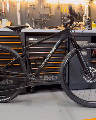 Mtb Cannondale Scalpel carbon