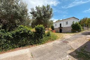 Frascati: villa unifamiliare da ristrutturare