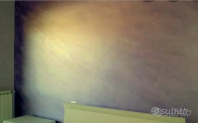 Imbianchino economico professionista in pensione