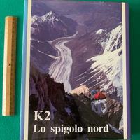K2 lo spigolo nord, Francesco Santon 1983