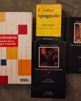 Libri e dizionari in spagnolo