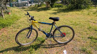 Bici Mountain bike