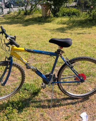 Bici Mountain bike