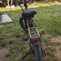 Fat Bike Appia Lombardo