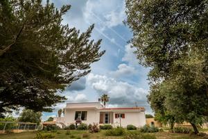 Casa Il Frutteto | Terrazza + BBQ | 3 ospiti |