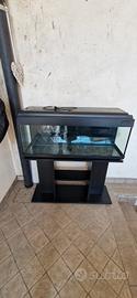 acquario 100 litri