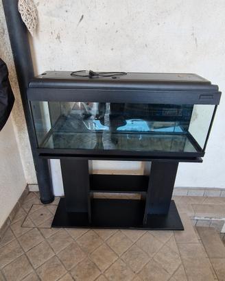 acquario 100 litri