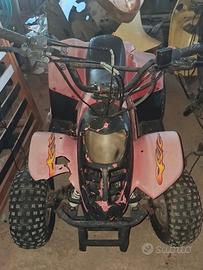 mini quad 50 4t