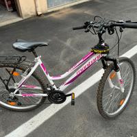 Bicicletta Mountain Bike