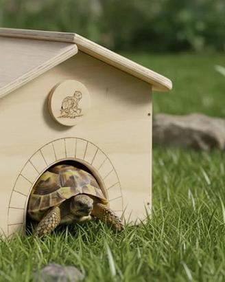 Casetta terrario in legno. Cm 30 x 30 x h 23