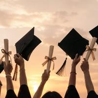 RIPETIZIONI ONLINE - TUTORAGGIO