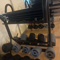 Palestra
