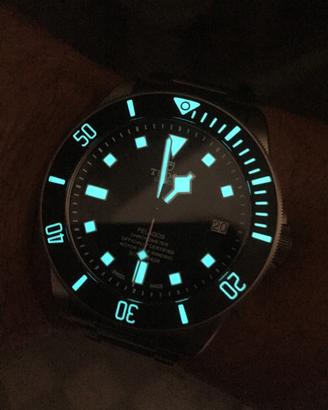 Tudor Pelagos 25600TN