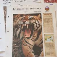 Schede educative illustrate per bambini