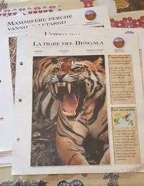 Schede educative illustrate per bambini