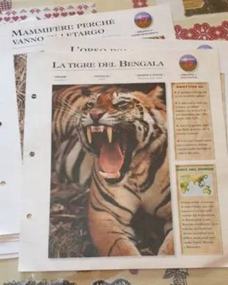 Schede educative illustrate per bambini