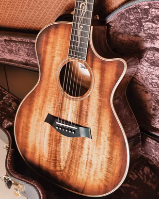 Taylor K24 