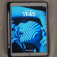 iPad 10.5 A1701