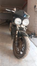 motore speed triple 955 2003