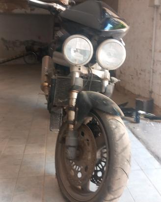 motore speed triple 955 2003
