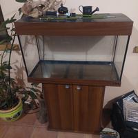 acquario 125 litri compreso di tutto