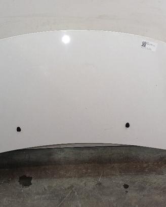 COFANO ANTERIORE CITROEN C3 2° Serie 7901R1 TU3AE