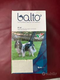 Sospensorio  Balto