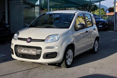 FIAT PANDA 1.2 EASY 69CV IDEALE NEOPATENTATI