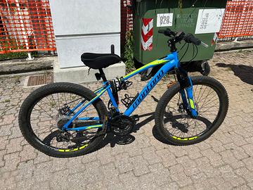 Bicicletta