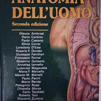 Anatomia dell'uomo