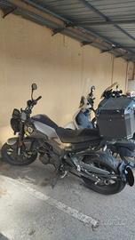 Benelli Leoncino 250