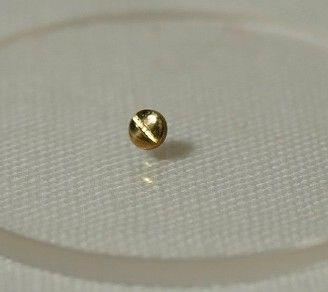 Vite oro 18 k Lunetta Ebel 1911