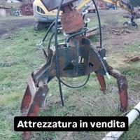 pinza per legna