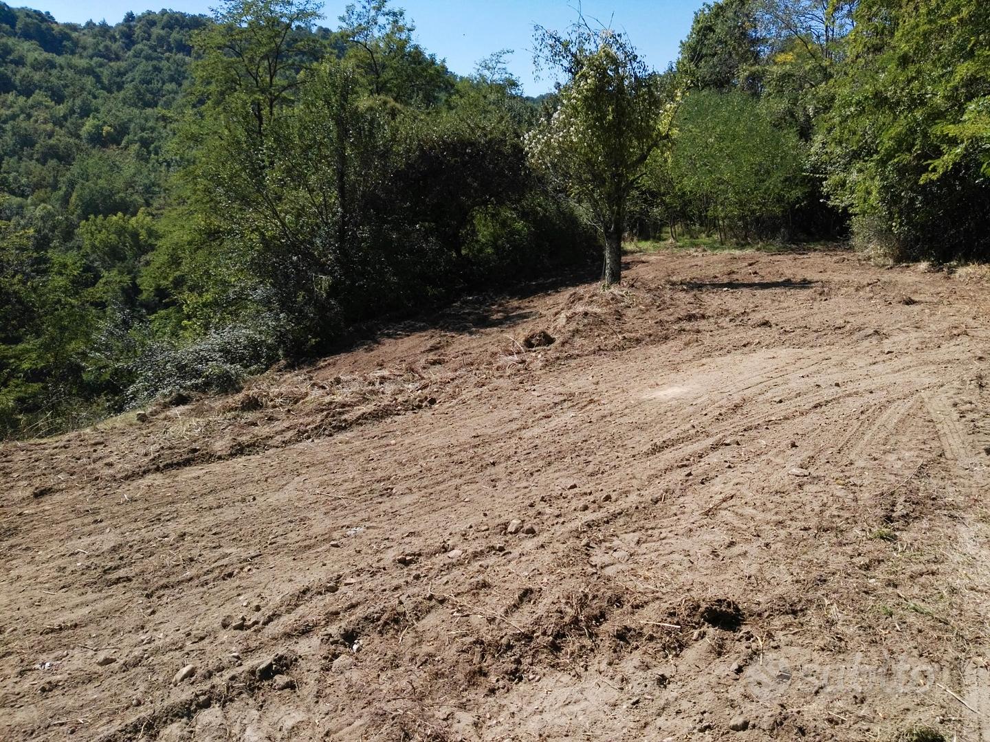Rustico con terreno - Vista 4