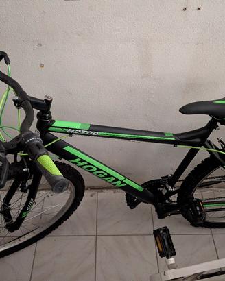 Mountain bike