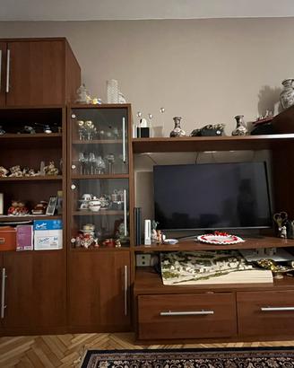 Mobile TV con libreria